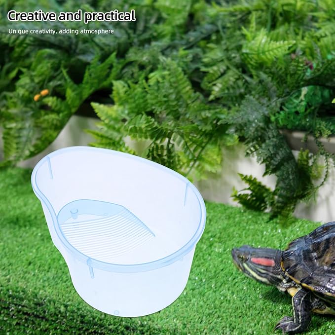Live Fish Habitat A Size with Small Platform Lagoon-small Plastic Tank Drying No Wwamp Straw Turtle Sky Opening Cover Trees-turtle Blue Breeding