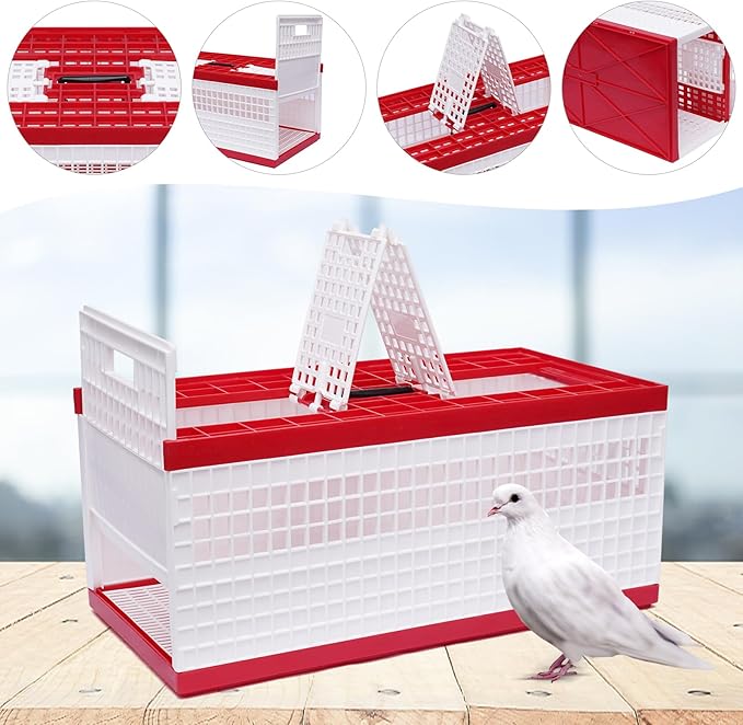 Plastic Foldable Pigeon Cage with Handle, Portable Bird Travel Carrier Cage, Pairing Cages, Pigeon Nest Box w/2 Top Department, Easy to Clean for Training and Release Competition (24"x12"x10")