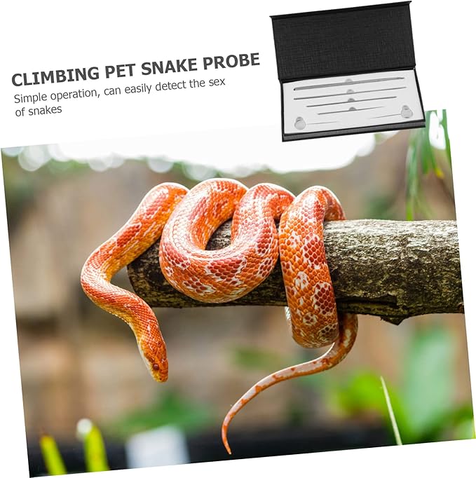 6PCS Stainless Steel Snake Probe Set Reptile Gender Detection Tools for Corn Snakes Kingsnakes and Other Reptiles Sturdy and Easy-to-Use Gender Probes