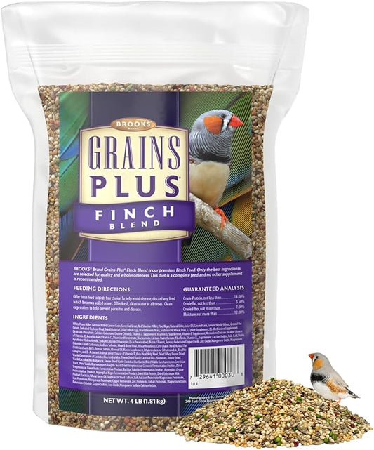 Grains Plus Finch Blend Bird Food, Nyjer Seeds, Finches Bird Seed Mix, Gold Finch Niger Seeds for Birds, Finches Food for Indoor Birds (4 lbs)