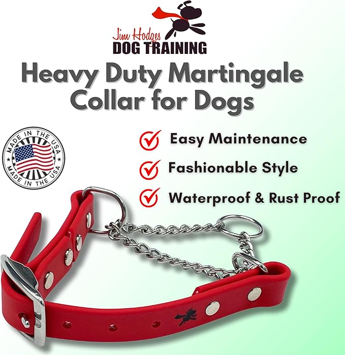 Martingale Collar for Dogs, Biothane, Stainless Steel Hardware, No Pull, Made in The USA, Professional Grade, Small, Red