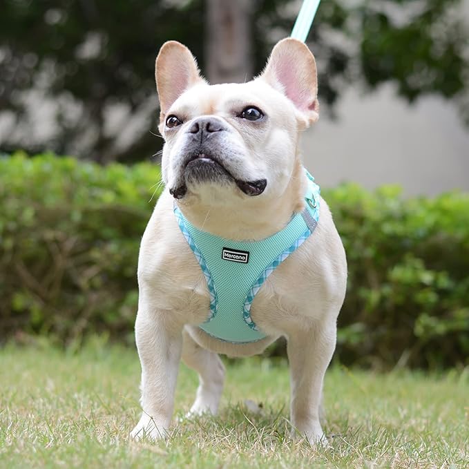 Mercano Soft Mesh Dog Harness and Leash Set, No-Chock Step-in Reflective Breathable Lightweight Easy Walk Vest Harnesses with Safety Buckle for Small Dogs, Cats (Light Green, XXS)