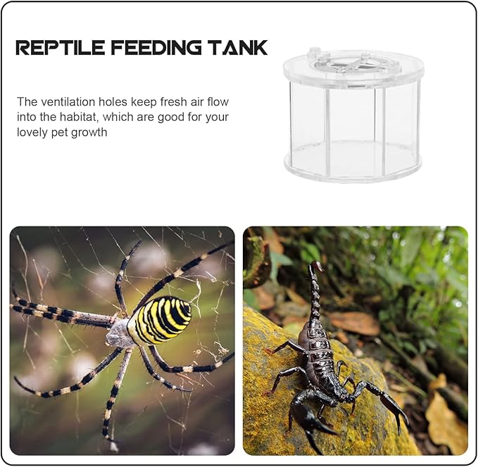 balacoo Reptile Breeding Box Acrylic Reptile Terrarium Cage Tank Tarantula Scorpion Sling Lizards Mantis