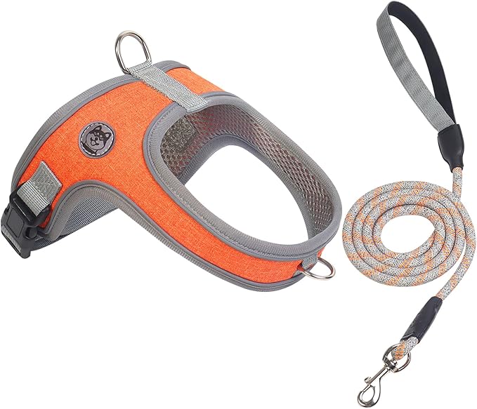 Dog Harness and Leash Set, No Pull Saddle Style Pet Harness, Breathable Mesh Adjustable Reflective Dog Vest for Dogs and Cat Medium Small Harness 2 D-Rings (Orange, L)