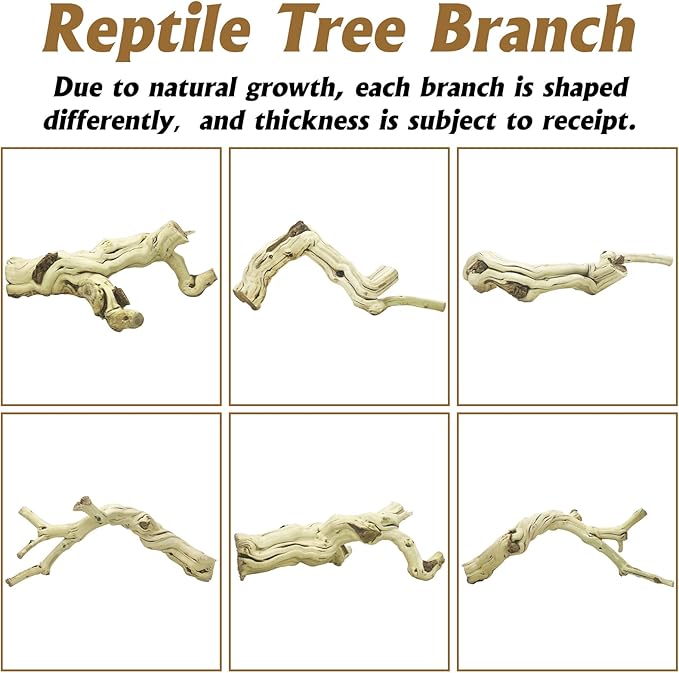 VCEPJH Large Snake Climbing Branch Decor 15.5 in Natural Reptile Wood Cork Log Bearded Dragon Tank Accessories Tree Trunk for Chameleon Gecko Ball Python Frog