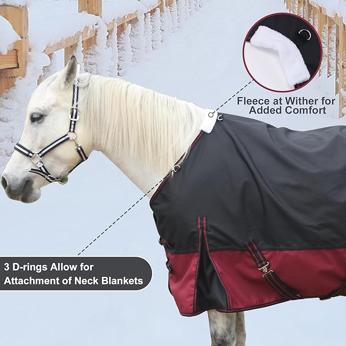1200D Ripstop Waterproof Breathable Horse Blanket (200g Fill), Medium Weight Warm Winter Turnout, Thermal Protection for Cold & Snow Blackwine 81"