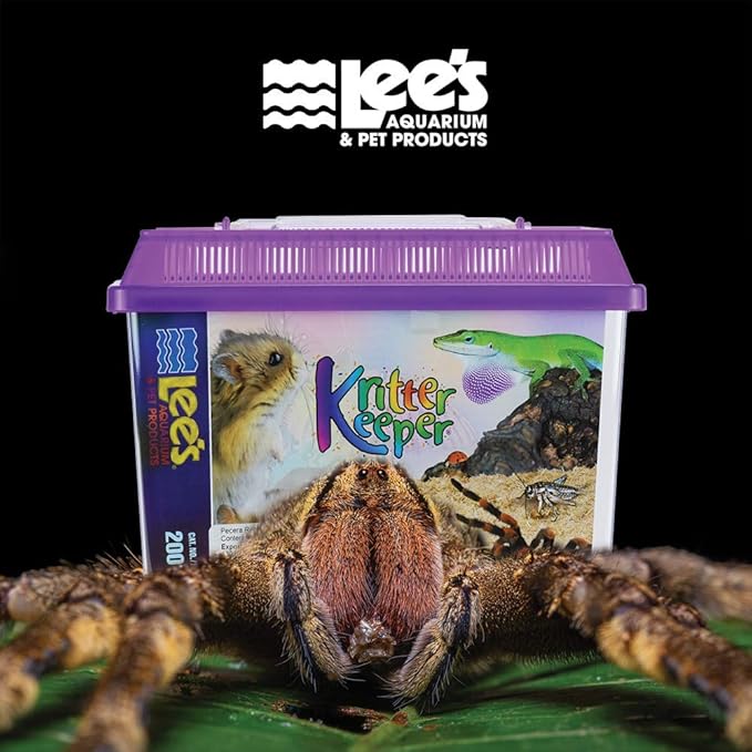 Lee's Kritter Keeper, Rectangle with Lid - Small, Assorted Colors