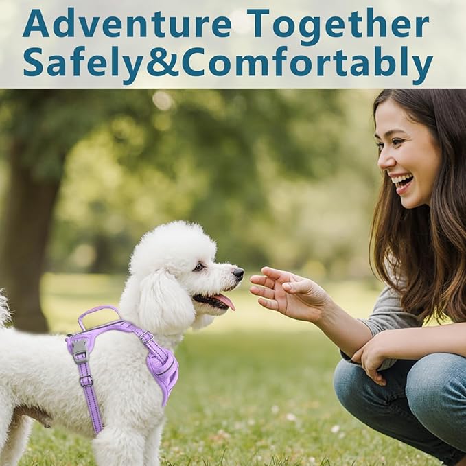 BARKBAY Dog Harness No Pull with ID Tag Pocket - Heavy Duty, Reflective, Easy Control for Large Dogs(Violet Purple,XS)