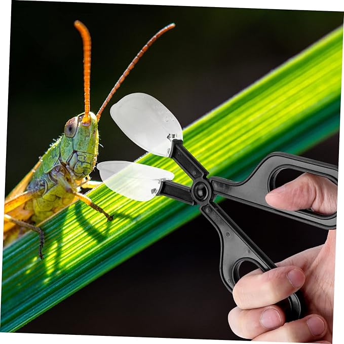 POPETPOP 6pcs Reptile Feeding Clip Flexible Cleaning Tool for Insect Feeding for Crickets and Locusts Comfortable Scissors Handle for and Breeding
