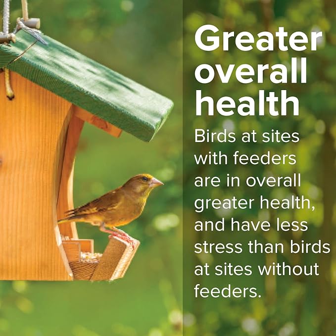Blue Seal Song Maker Supreme Wild Bird Seed | High Energy Mix, No Fillers | Attracts Wide Variety of Wild Outside Birds | Convenient Shell-Free Mix | Made in USA | 20 Pound Bag