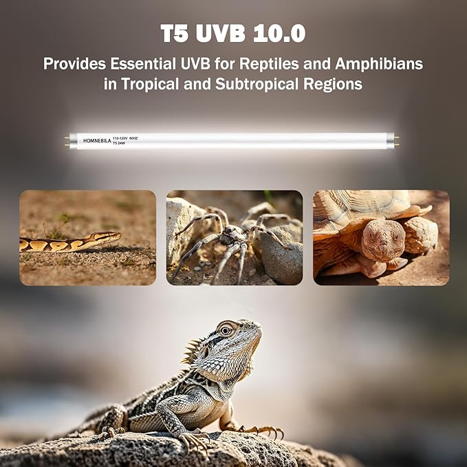 T5 10.0 UVB Reptile Light Bulb 24W, 2-Pack 22 Inch UVB/UVA Lamp Tube for Bearded Dragon, Lizards, Chameleons