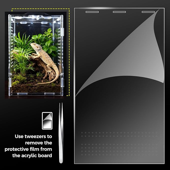Acrylic Spider Enclosures, Insect Breeding Boxes, Insect Enclosures, Scorpion Habitats, Small Lizard and Frog Enclosures