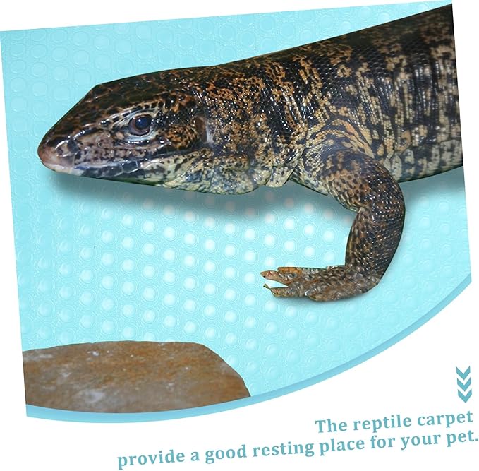 Totority Reptile Carpet Substrate Pad for Terrarium Tank Washable Foldable Bedding Liner for Bearded Dragon Gecko Lizard Snake and Tortoise Habitat Portable Reptile Tank Mat