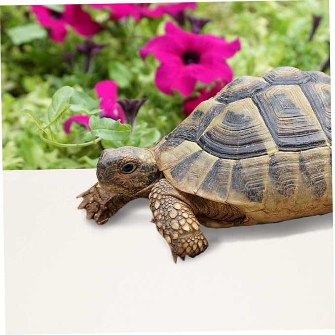 Happyyami Reptile Carpet for Terrarium Nonslip Reptile Liner for Bearded Dragon Lizard Snake and Turtle Habitats Easy to Clean
