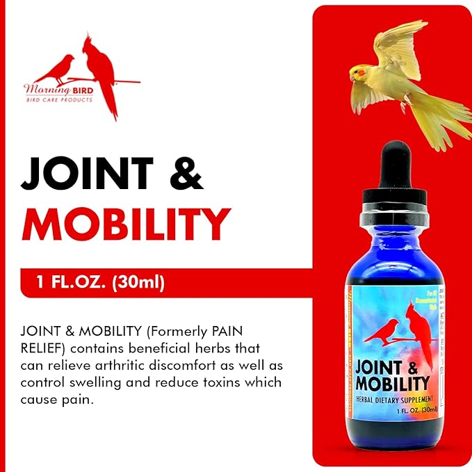 Morning Bird Joint & Mobility 1 fl oz – Herbal Liquid Supplement for Birds – Supports Joint Health, Muscle Comfort & Mobility – Ideal for Aging or Recovering Birds