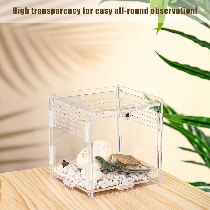 Suzile Jumping Spider & Tarantula Enclosure - Reptile & Hermit Crab Tank - Micro Habitat (3.5 x 3.5 x 3.7'')