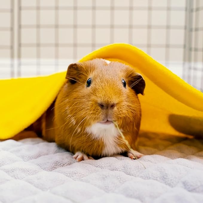 GuineaDad Original Liner - Yellow Fleece Guinea Pig Bedding - Reusable Guinea Pig Cage Liner - Extra Absorbent with Waterproof Bottom and Burrowing Pocket - Small Pet Supplies - 2x3 C&C