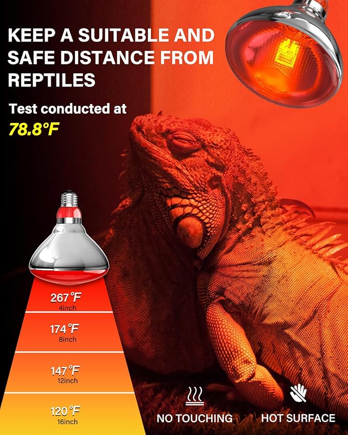 Heat Lamp Bulbs for Chickens Coop Brooder,250 Watt Reptile Heat Lamp Bulb Infrared Red Light for Chicks,Birds,Ducks,Dogs,Cats (Heating Lamp Not Included)
