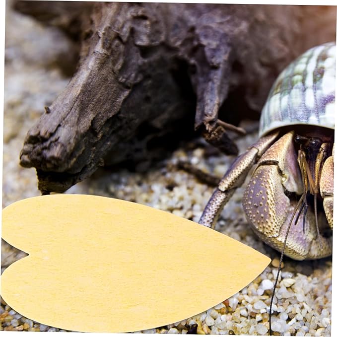YARNOW 10pcs Unbleached Heart Shape Crab Sponges Safe Drinking Humidity Maintenance for Reptile Tanks Versatile Terrarium Accessories for Crabs and Pets