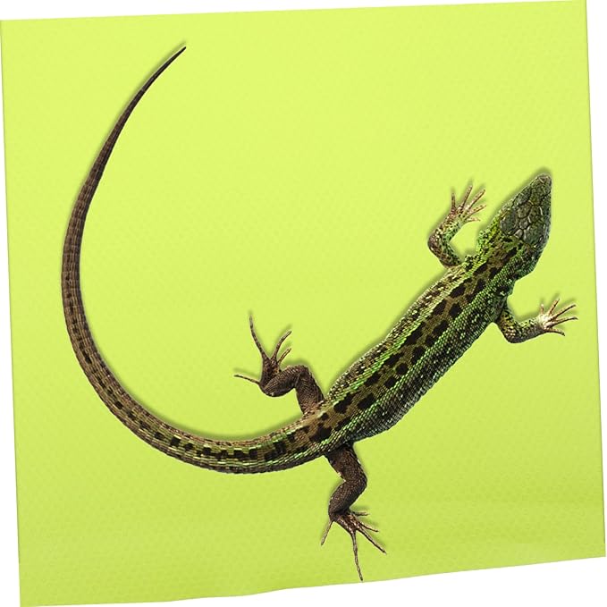 Reptile Carpet Mat for Terrarium Substrate Bedding Non- Design for Bearded Dragon Leopard Gecko More Reptile Tank Accessory