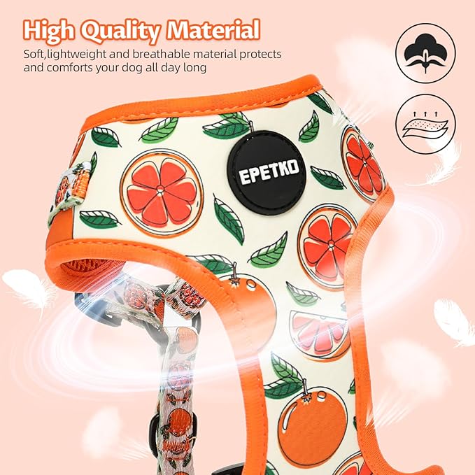 Small Dog Harness and Leash Set of 6, No Pull Soft Lightweight Mesh Puppy Harness， Adjustable Cute Floral Pattern Pet Harness for Small Medium Dogs (Orange, XS)