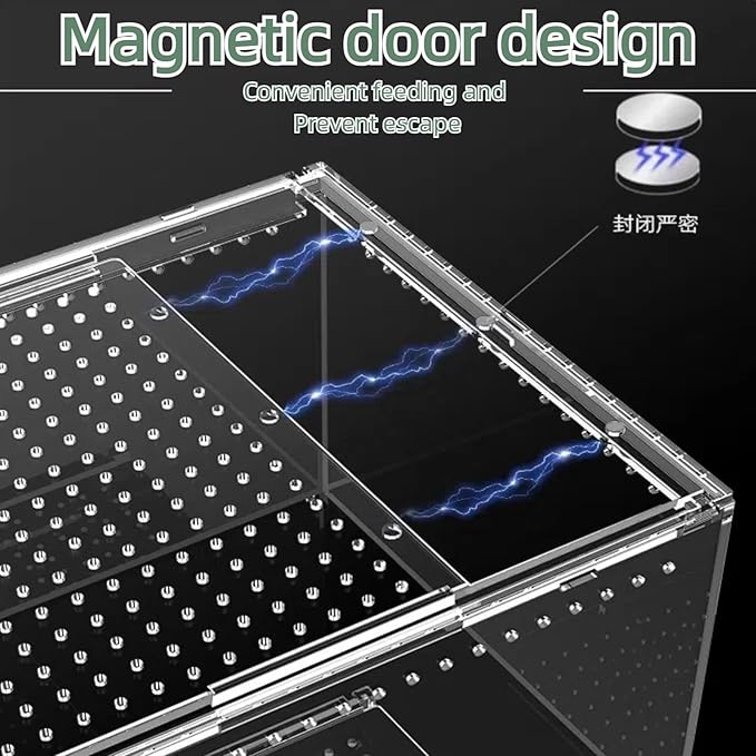 12x8x6 Inch Terrarium with Magnetic Top Sliding Lid, Clear View Critter Keeper & Spider Enclosure, Jumping Spider/Tarantula Habitat, Hermit Crab Tank, Tadpole to Frog Kit
