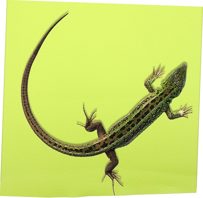 Reptile Carpet Terrarium Liner Non-Absorbent Substrate Mat for Leopard Gecko Bearded Dragon Tortoise Lizard Tank Bedding Easy-Clean Reptile Pet Accessories
