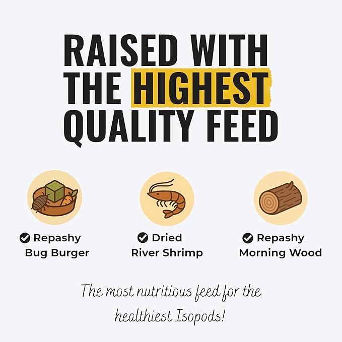 Creation Cultivated 12+ Cubaris Panda Isopods Live - Live Bugs for Bioactive Terrarium, Vivarium Clean-up Crews, and Reptile Food - Easy-Care Isopods for Terrarium