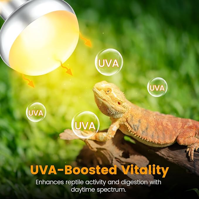 2-Pack 150W Reptile Heat Lamp Bulbs – UVA Daylight Basking Light for Bearded Dragons, Lizards, Turtles, E26 Base