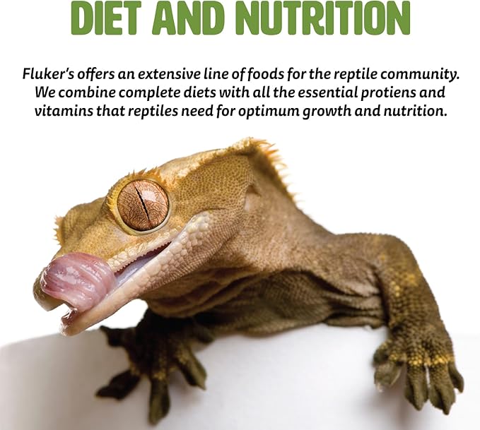 Fluker's All Natural Large Sun-Dried Red Shrimp, High Protein Treats, Aquatic Turtle Food, Great for Aquatic Frogs, Tegus, Monitors, and Tropical Fish, 2.5 oz