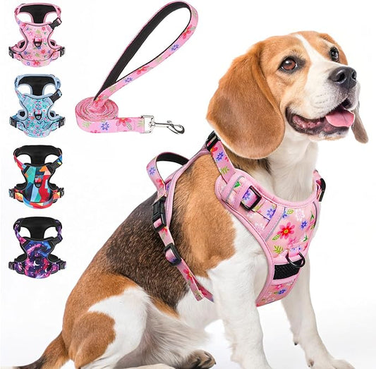 BEAUTYZOO No Pull Dog Harness and Leash Set with 2 Metal Leash Clips - Overhead-Free 3 Snap Buckles Design, Adjustable No-Choke Soft Padded Reflective Oxford Pet Vest for Small Medium Large Dogs, M