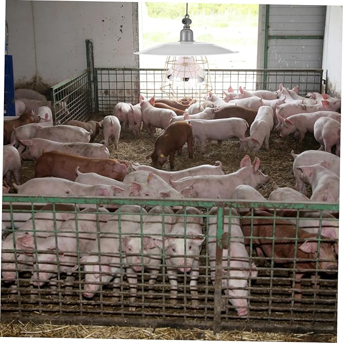 Mini Pig Use Heat Lamp Livestock Heat Lamp Warm Light for Heating Light