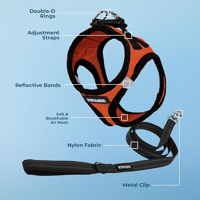 Best Pet Supplies Voyager Step-in Air All Weather Mesh Harness and Reflective Dog 5ft Leash Combo with Neoprene Handle, for Small, Medium and Large Breed Puppies - Set (Orange/Black Trim), Large