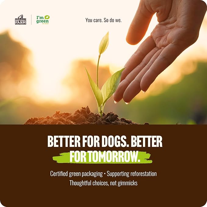 Natural Farm Odor-Free Thick Bully Sticks (6”, 5-Pack) All-Natural Long-Lasting Dog Chews, 100% Beef Pizzle, Grass-Fed, Grain-Free, Protein for Muscle Development & Energy, Perfect for Medium Chewers