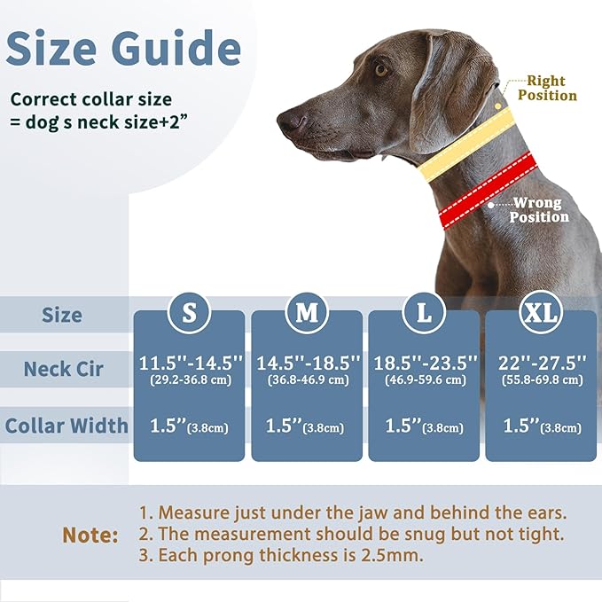 Mayerzon Dog Collar, Patented Martingale No Pull Collar for Small Medium Large Dogs with Buckle for Walking Training, Hidden Design (Black, Small,2.5mm,11.5"-14.5" Neck)