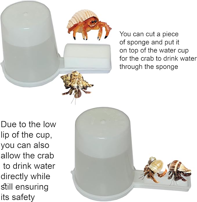 Hermit Crab Safe Water Cup with 3Pcs Hermit Crab Sponges, Automatic Hermit Crab Drinking Water, Hermit Crab Habitat Supplies, Hermit Crab Tank Decor, Hermit Crab Tank Humidity