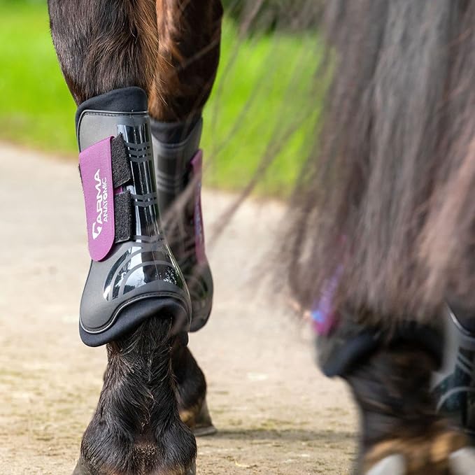 Shires ARMA Tendon Boot