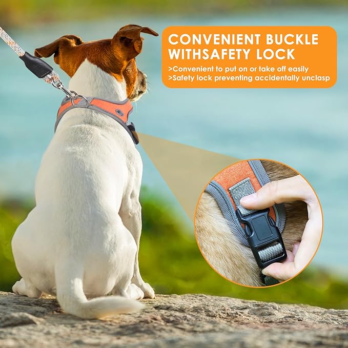 Dog Harness and Leash Set, No Pull Saddle Style Pet Harness, Breathable Mesh Adjustable Reflective Dog Vest for Dogs and Cat Medium Small Harness 2 D-Rings (Orange, S)