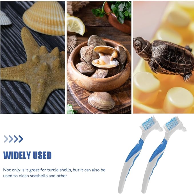 Abaodam 2pcs Portable Turtle Shell Cleaning Brush Mini Mud Remover for Aquatic Turtles and Tortoises, Blue, Practical Personal Shell Maintenance Tool for Reptile Health