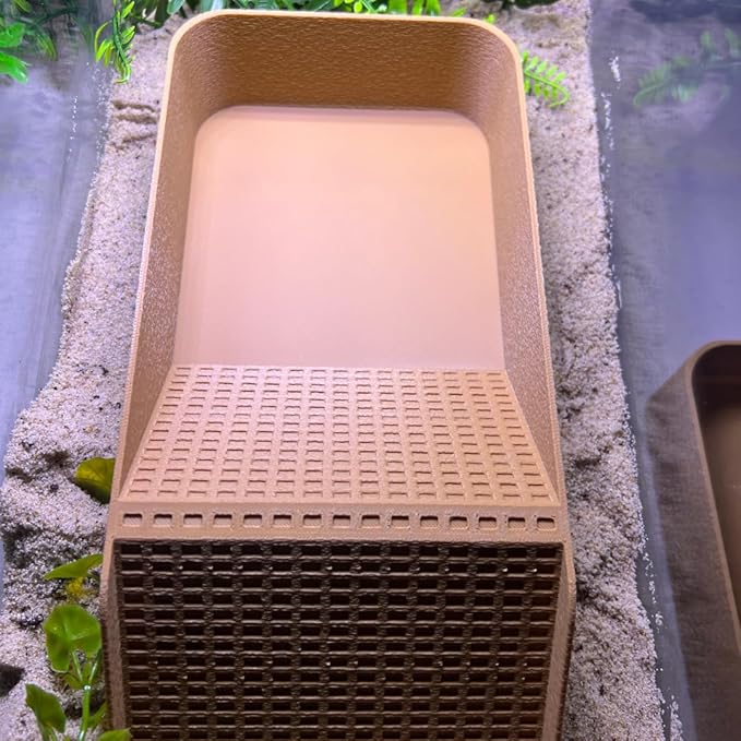 Hermit Crab, Lizard, Turtle, Amphibian XL Watering Pool | Platform Pool Accessory with Access Ramp for Pet Habitats | 9.75" x 5" | Made in USA (X-Large) (Fresh Only, Tan)