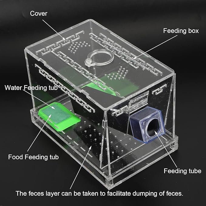 Transparent Acrylic Reptile Feeding Cricket, Cricket Care Kit Cricket Keeper with Tubes Cricket Keeper Tank Box(S)