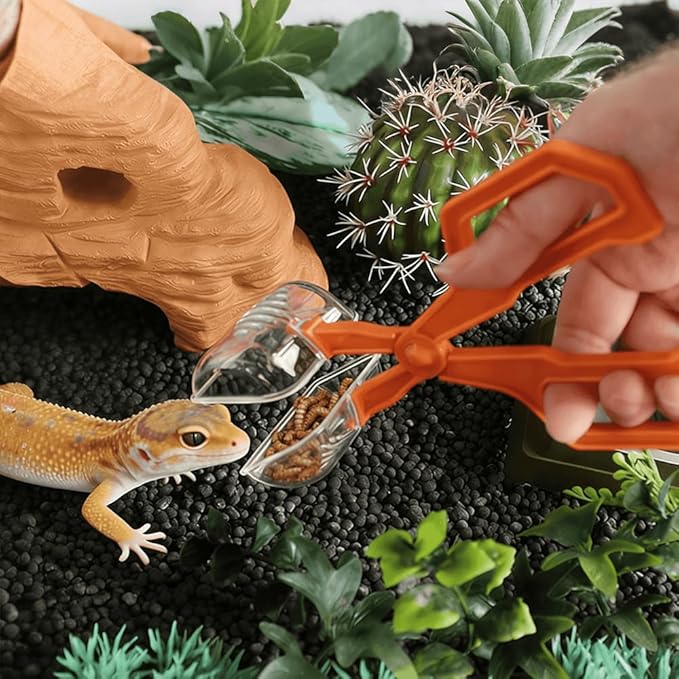 7-Pack Reptile Feeding Tools Set - 4 Feeding Tongs/Worm Tongs/Worm Scoop/Cleaning Shovels, 2 Tweezers & 1 Feeding Spoon, for Reptiles, Hedgehogs, Lizards, Spiders, Bearded Dragons