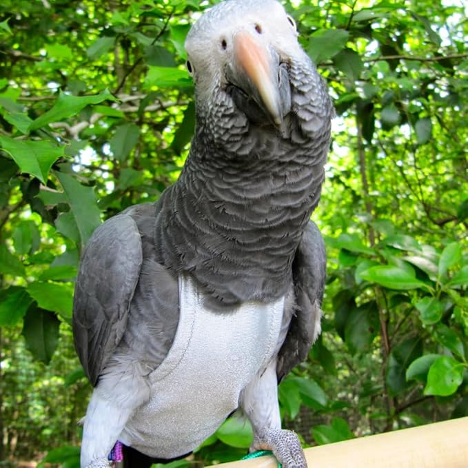 Avian Fashions FeatherWear FlightSuit X-Wide(9) Bird Diaper in Grey