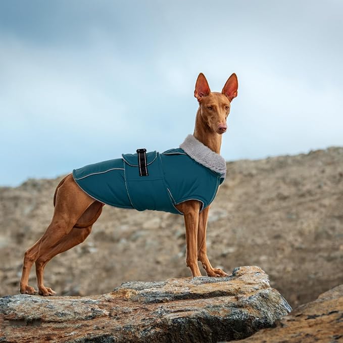 Lelepet Warm Dog Coats for Large Dogs Waterproof Dog Winter Jacket Reflective Pet Fleece Vest Windproof Cold Weather Coats with Adjustable Buckle & Leash Hole, Dark Green, L