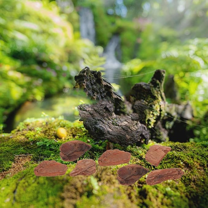 1bag Tree Bark Chips for Reptiles Natural Habitat Decor for Terrariums Substrate Living Environment for Turtles Snakes Lizards