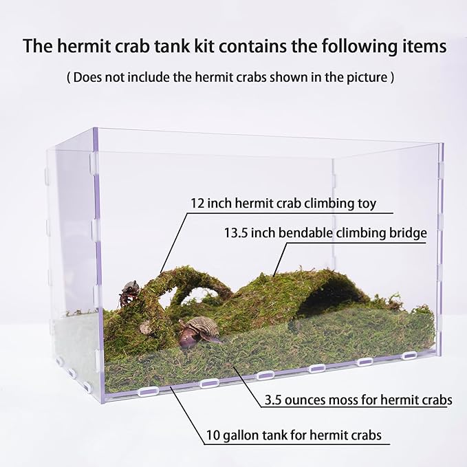 10 Gallon Hermit Crab Tank Kit, Include 20.47 inch x 10.83 inch x 12.4 inch Tank，3.5oz Moss, 2xToys, Creating the Perfect Habitat for Your Cute