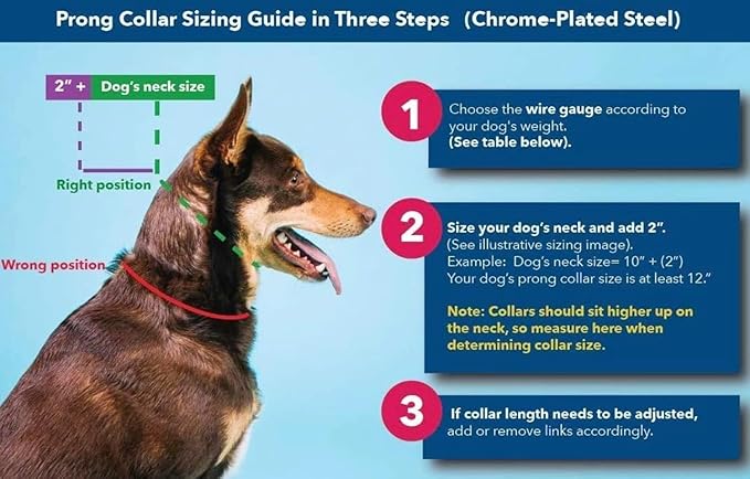 Herm Sprenger Prong Collar for Dogs Training – Quick Release Buckle & Swivel Ring for Easy Use – Made of Durable Steel Chrome Plated in Germany– 4.0mm Prongs for Extra Large Dogs with 26-30" Neck