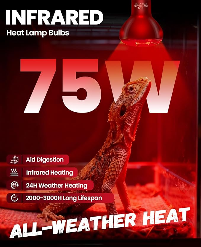 KINDEEP Infrared Heat Lamp Bulbs: 75W Reptile Heat Light 2 Pack - Red Basking Spot Light Bulbs Reptile Heating lamp for Lizard Bearded Dragon Turtle Snake Leopard Gecko Tortoise Chickens