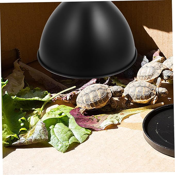 STOBAZA 5pcs Box Lizard Terrarium Lighting Heat Lamp Reflector Easy Install Reptile Habitat Accessory Material