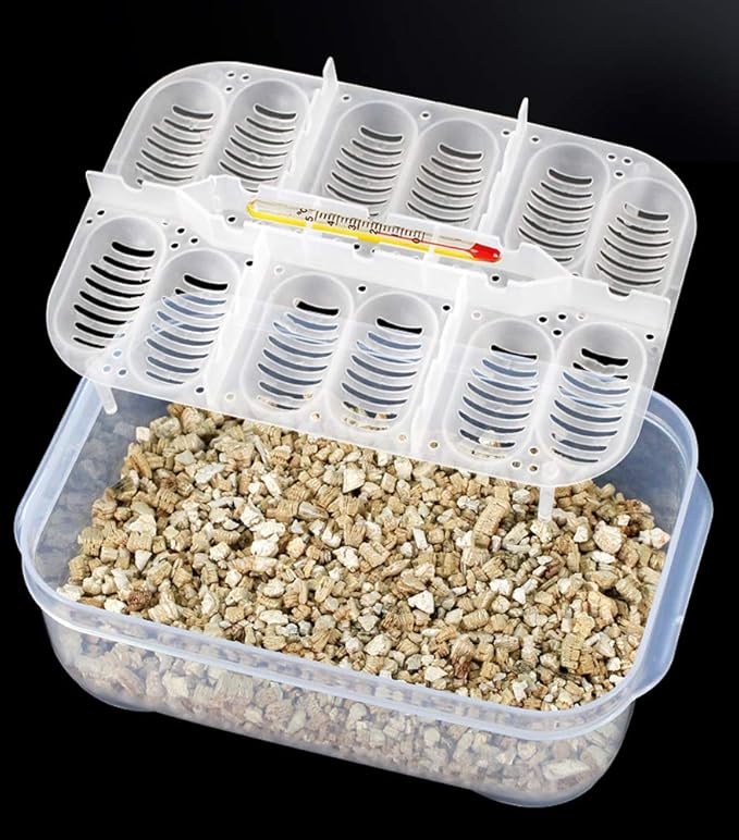 OMEM Reptile Breeding Box, Reptile Egg Incubators, Hatchery Box, for Hatching Gecko, Lizards, Lions Mane, Reptiles (Thermometer, Transparent Box)